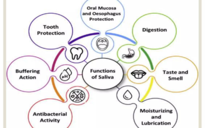 How can common everyday medications silently reduce your saliva flow, and how to protect your teeth?