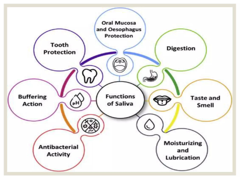How can common everyday medications silently reduce your saliva flow, and how to protect your teeth?